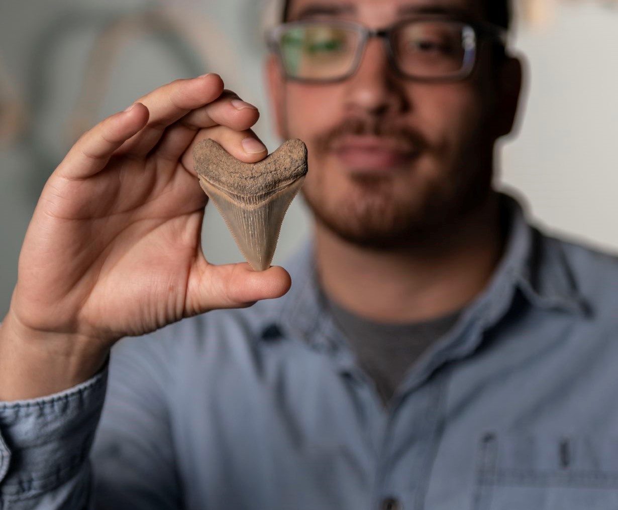 Victor Perez holds tooth of extinct giant shark Megalodon
